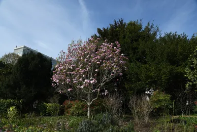 DSC_6865 (Large).JPG